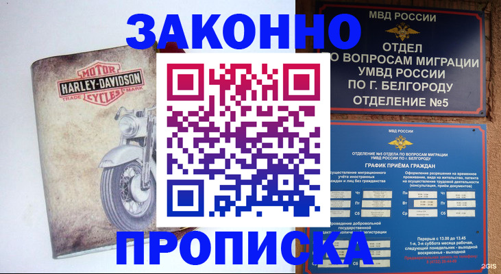 прописка для школы в Очёре